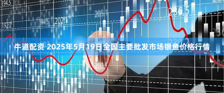 牛道配资 2025年5月19日全国主要批发市场银鱼价格行情
