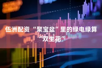 伍洲配资 “聚宝盆”里的绿电绿算“双生花”